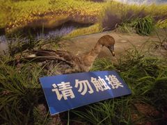 -鄱阳湖国家湿地公园