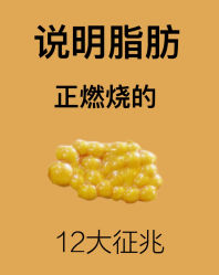 -Fundi张玉珊修身堂·indiba·BTL科技瘦身