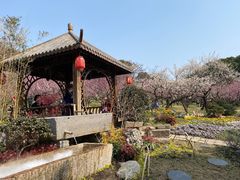 -无锡梅园公园