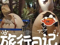 -湖南省地质博物馆