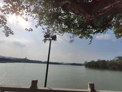 -惠州西湖