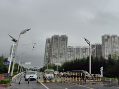-星光岛