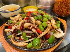 辣炒鱿鱼-红京鱼(西坝河店)