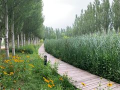 -潇河湿地公园