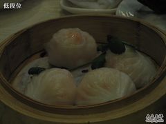照片&nbsp;111-北海渔村酒楼·粤菜海鲜点心(新华店)