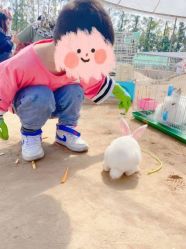 -前小桔亲子创意农场·草莓采摘·露营烧烤