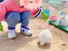 -前小桔亲子创意农场·草莓采摘·露营烧烤