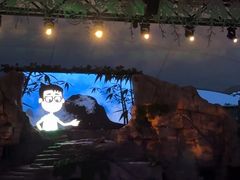 -夜间野生动物园