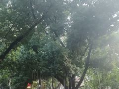 -上海东湖宾馆