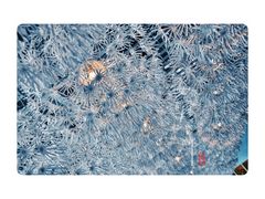 大堂-宜家·瑞典风味餐厅(北京西红门店)