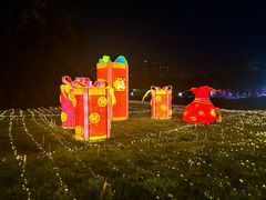 -广西壮族自治区药用植物园