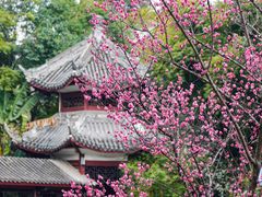 -成都市文化公园
