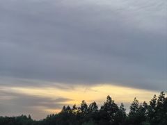 -上海国际音乐村