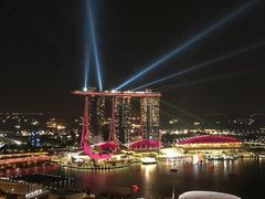 -新加坡瑞士史丹福酒店