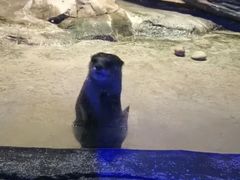 -重庆欢乐海底世界