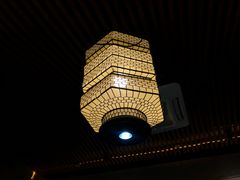 -探窝·竹笙椰子鸡(杨箕店)