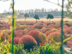 -嘉北郊野公园