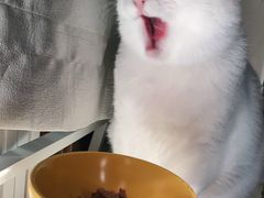 -北京赛佳动物医院