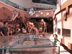 -陕西自然博物馆