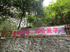 -紫云谷景区
