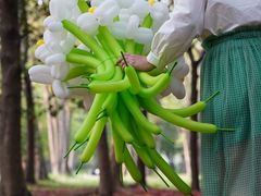 -蜀冈西峰生态公园