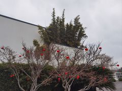-费孝通江村纪念馆