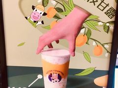 -一只酸奶牛(曲江龙湖星悦荟店)