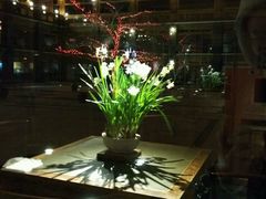 -那家山城(樱桃园店)