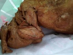 -香妃烤鸡(西单店)