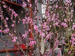 -北京鲁迅博物馆(北京新文化运动纪念馆鲁博馆区)