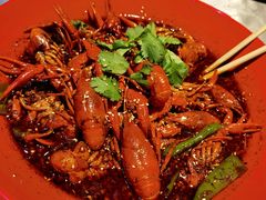 -红辣椒·川菜·火锅(张杨路店)