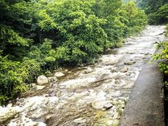 -陕西省红河谷森林公园