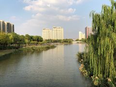 -南翔镇银翔湖公园