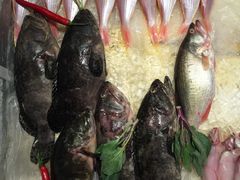 -廣味潮鲜·一品潮滋味(五道口店)