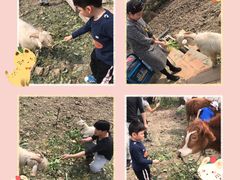 -小鱼草莓采摘园农家乐·小鱼餐厅