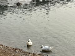 -绿堤公园