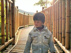 -陶祖圣境风景区