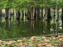 -白鹭湾湿地公园