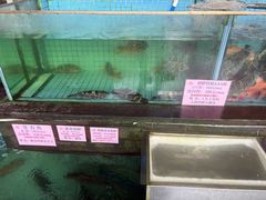 -荔城生鲜盛宴(番禺旗舰店)