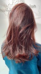 -潘多拉Hairsalon