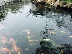 -湖鲜楼