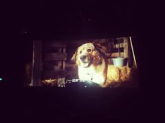 -百美汇影城(LUXE嘉里中心店)