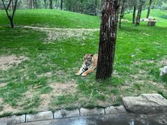 -北京野生动物园