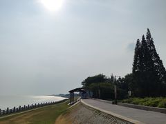 -观潮胜地公园