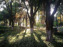 -重庆市江北嘴中央商务区中央公园