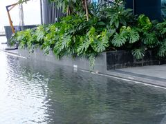 -希尔顿南海酒店·观廊大堂吧·海景下午茶