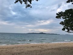 -卷心菜和避孕套餐厅(Pattaya)