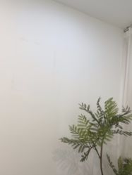 点击看大图 -张小野·专业半永久纹眉