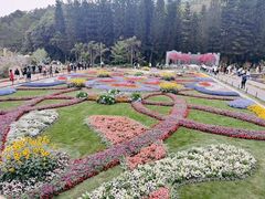 -深圳仙湖植物园