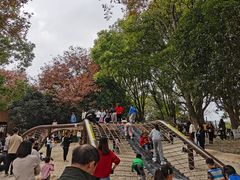 -宁波儿童公园(鄞州区)